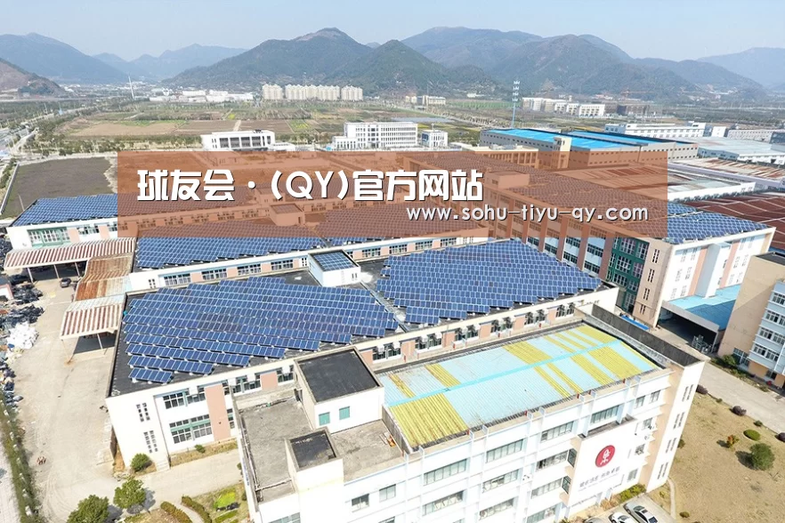 案例展示一