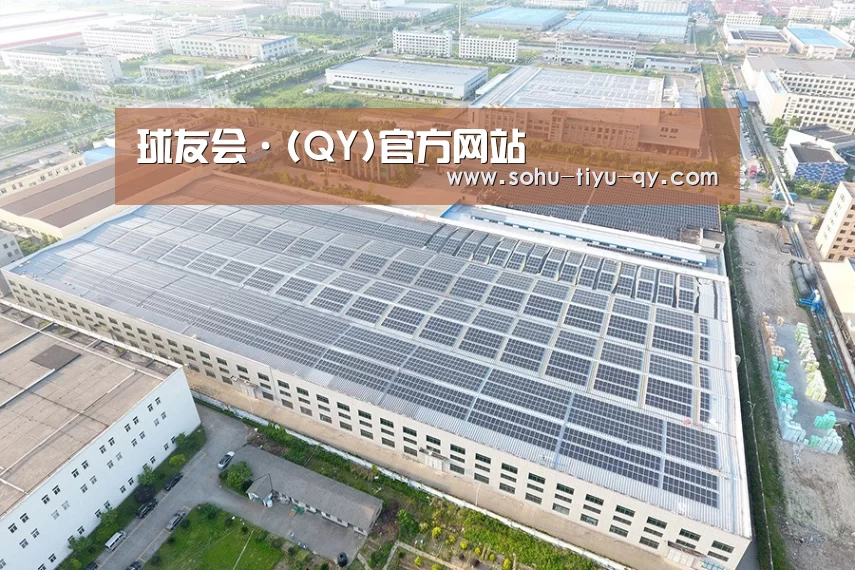 案例展示二