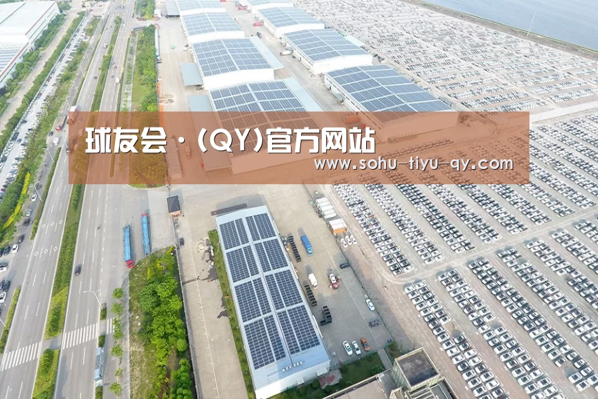 案例展示四
