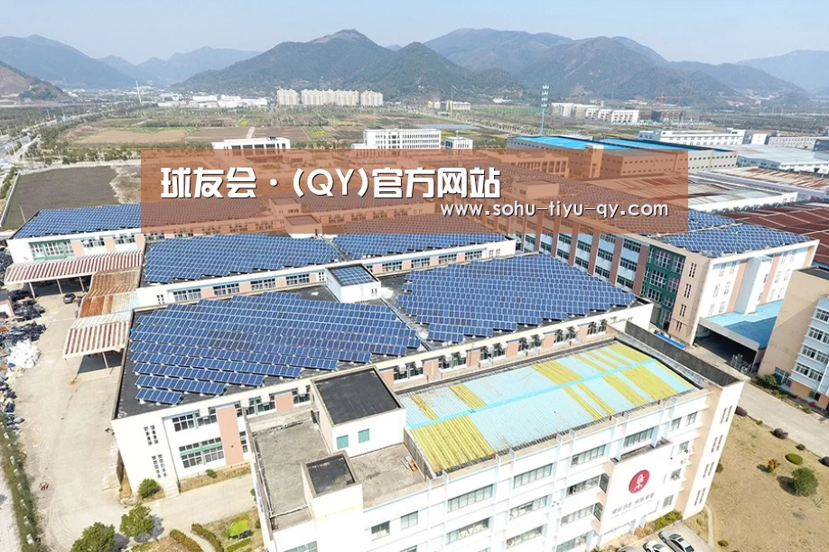 案例展示三